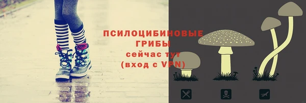 гашик Алексеевка