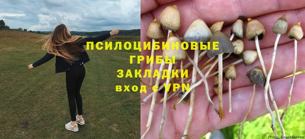 гашик Алексеевка